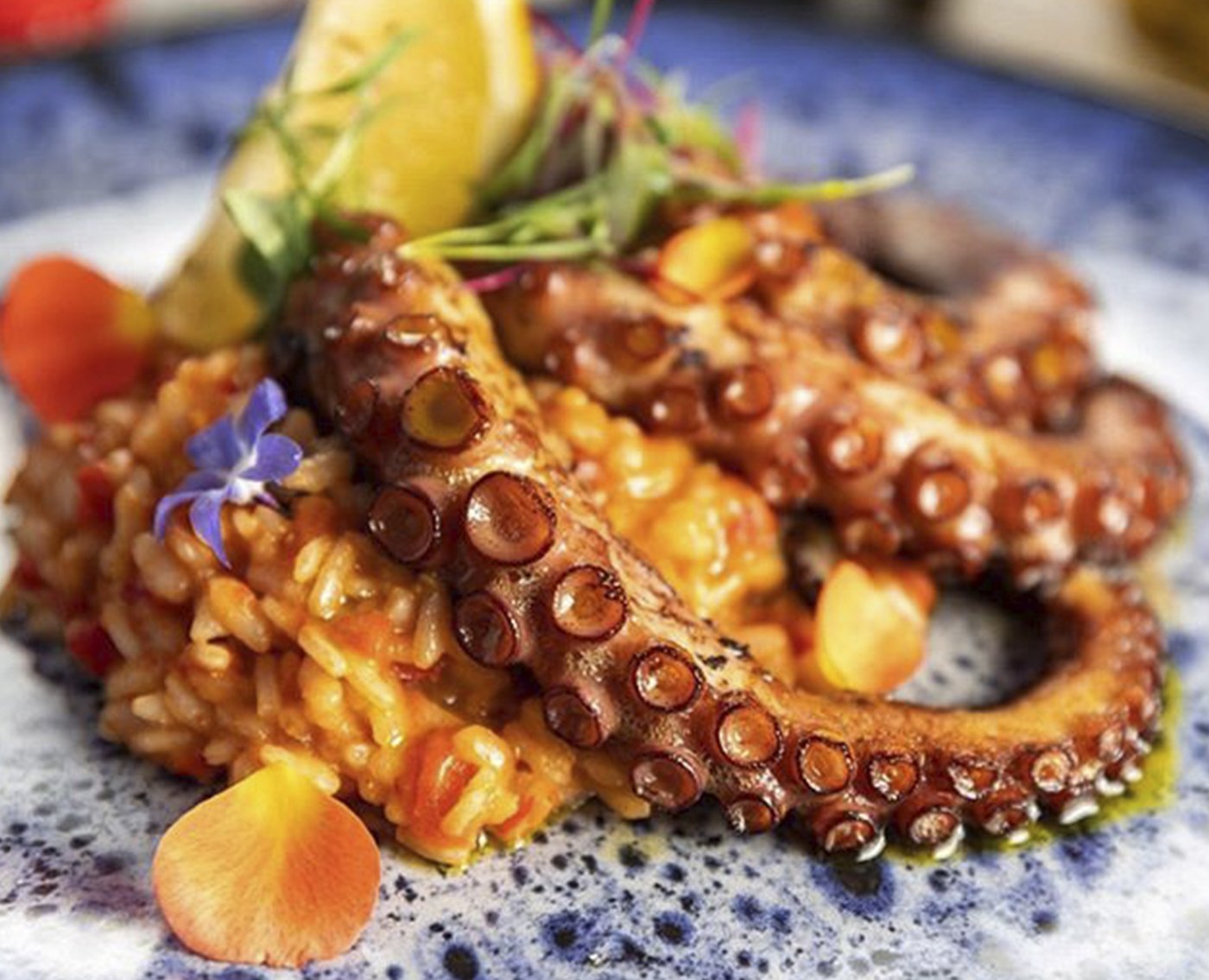 Flores Gastronomia