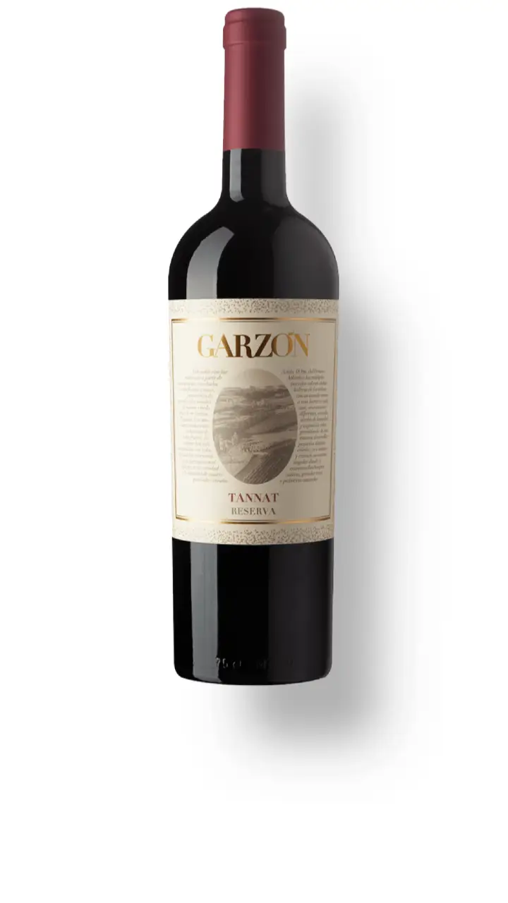 Garzon Reserva Tannat 2021